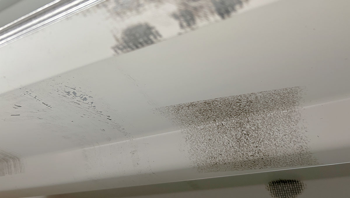 Schimmel, Schaden am Haus, Schimmelschaden