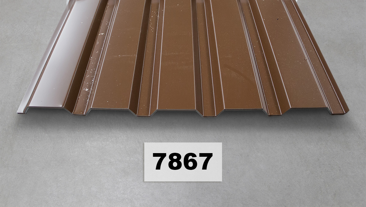 Metalldachpaneel, Braunes Metallblech, Wellengestähltes Panel, Dachplatten, Verzierte Paneele