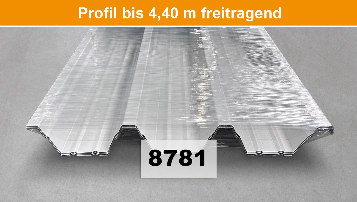 Sonderpostenpaket Nr. 8781 - M 100/275